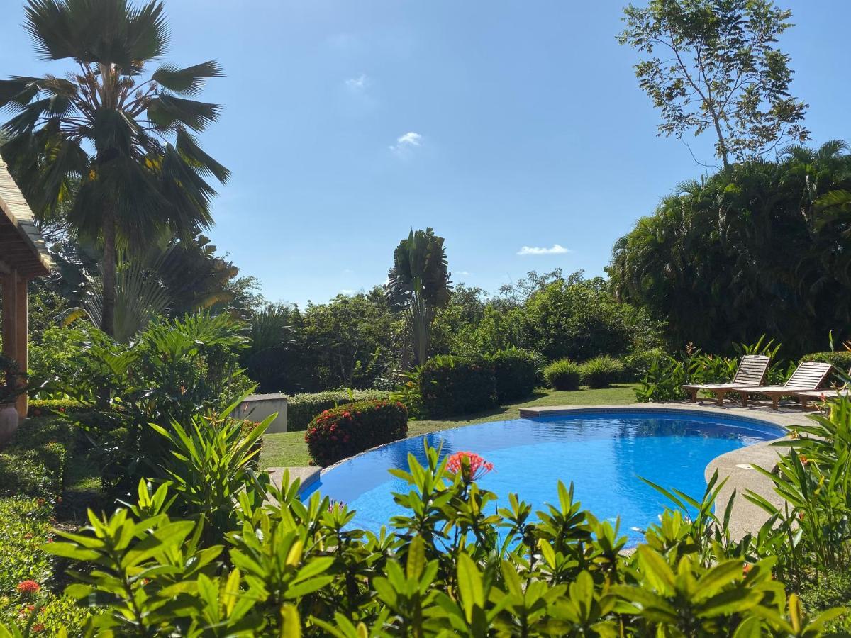 Palm Coast Luxury Rentals Естерільос-Есте Екстер'єр фото